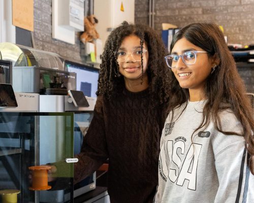 DS landscape 15 DS landscape 15